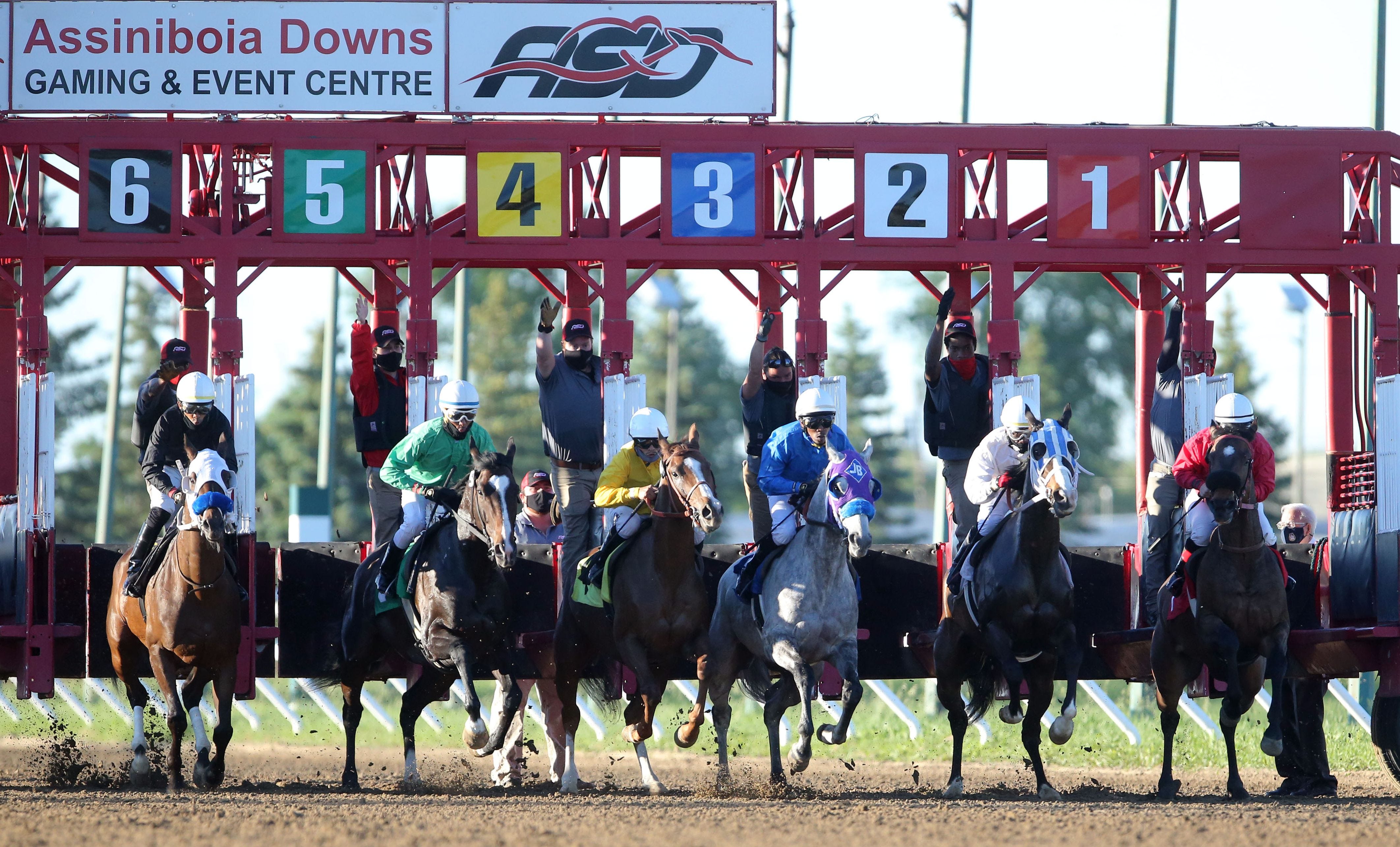 Assiniboia Meet Opens With Lower Takeout Rates Healthier Horse Population Assiniboia meet opens with lower takeout rates healthier horse population